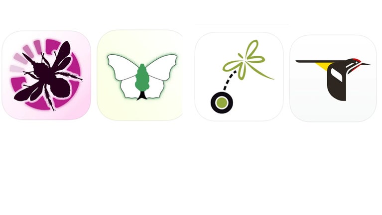 Logos for wildlife survey apps